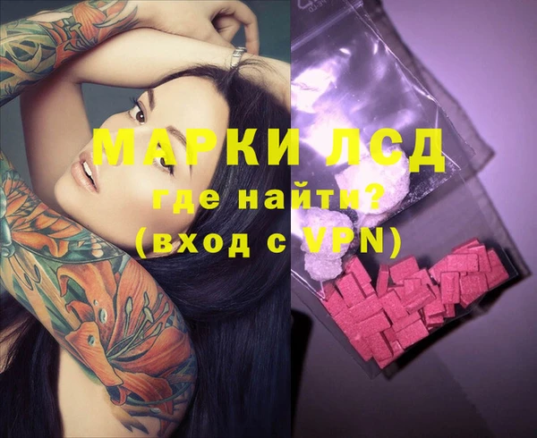 шишки Аркадак