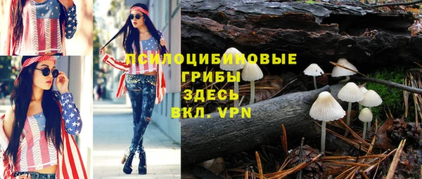шишки Аркадак