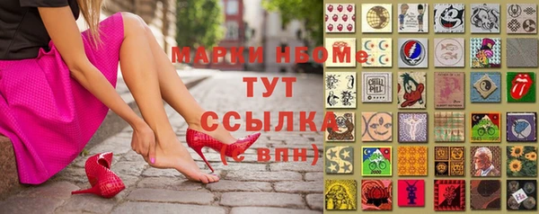 шишки Аркадак