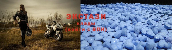 шишки Аркадак