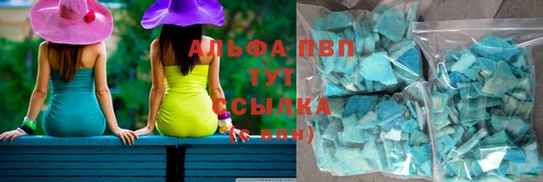шишки Аркадак