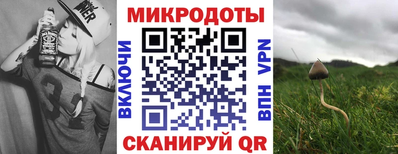 hydra tor  Заволжск  Галлюциногенные грибы GOLDEN TEACHER 